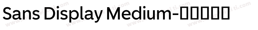 Sans Display Medium字体转换